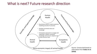 Participatory and quantitative systems modelling approach to animal health economics