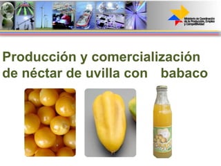 Producción y comercialización de néctar de uvilla con  babaco 