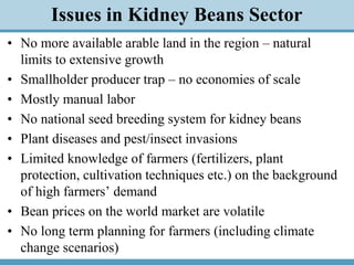 Kidney Beans Value Chain and Export Capacity in the Kyrgyz Republic