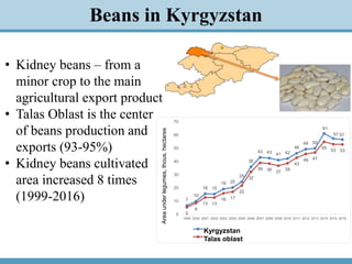 Kidney Beans Value Chain and Export Capacity in the Kyrgyz Republic