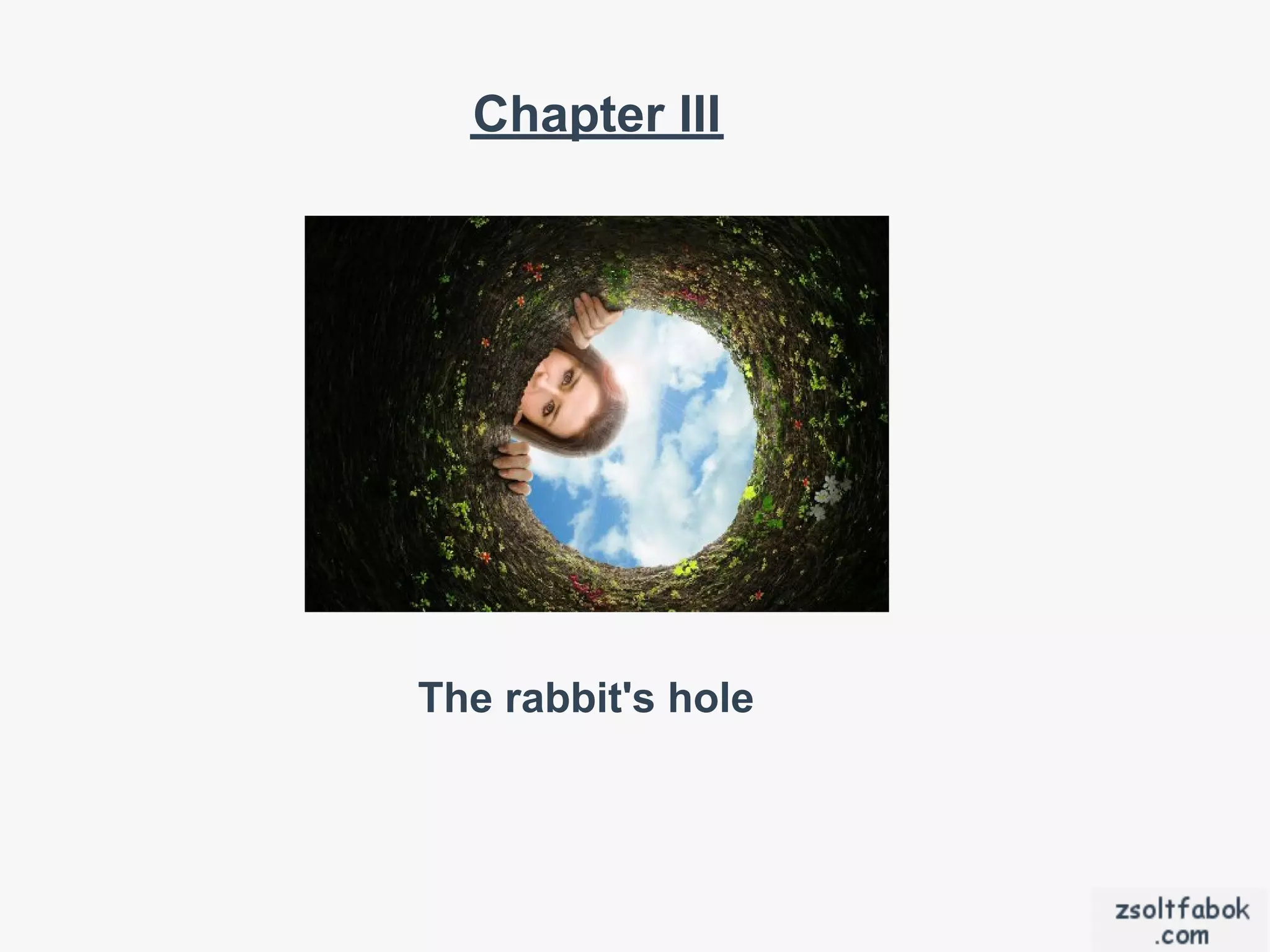 Chapter III




The rabbit's hole
 