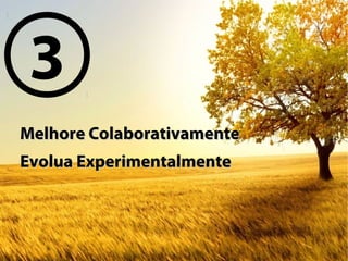 Melhore ColaborativamenteMelhore Colaborativamente
Evolua ExperimentalmenteEvolua Experimentalmente
3
 