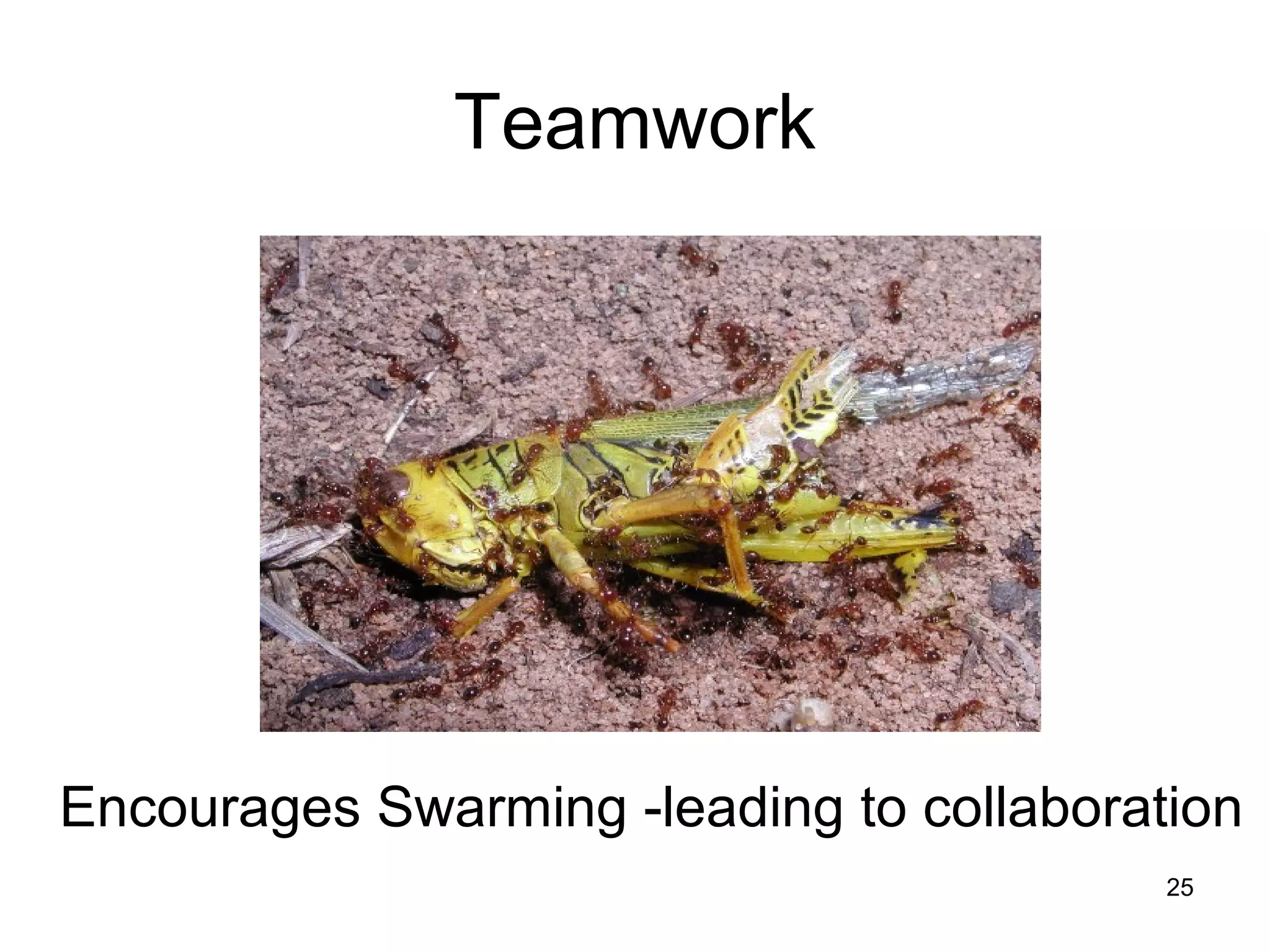 Teamwork
Encourages Swarming -leading to collaboration
25
 