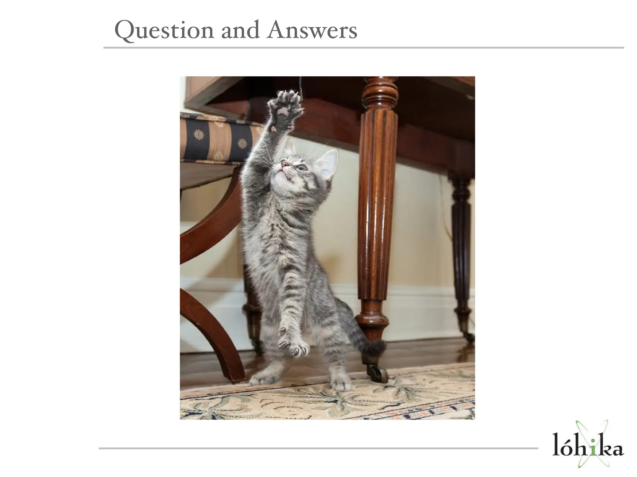 Question and Answers 