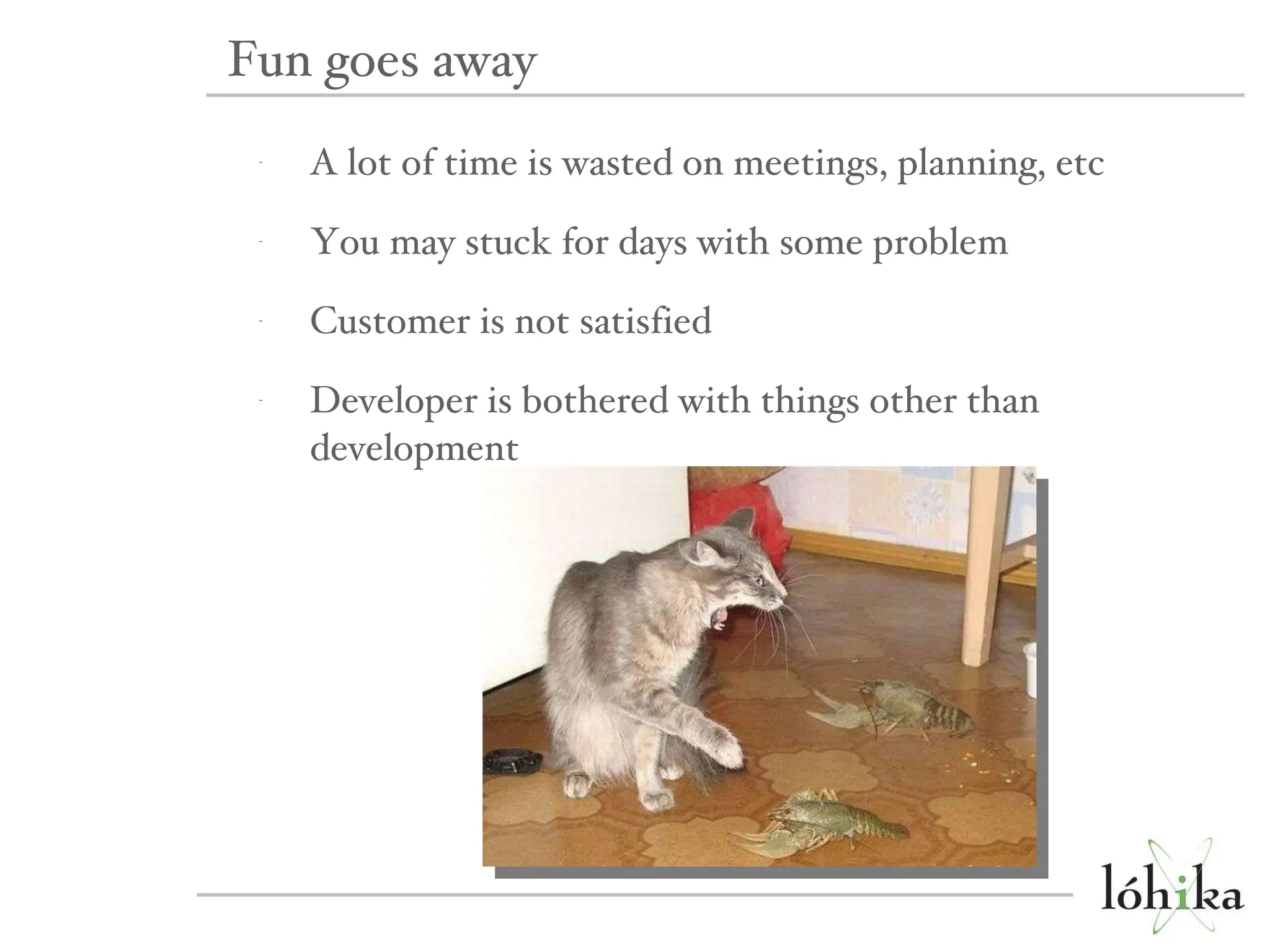 A lot of time is wasted on meetings, planning, etc You may stuck for days with some problem Customer is not satisfied Developer is bothered with things other than development Fun goes away 
