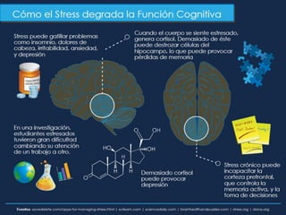 Reglas del Kanban Personal
Visualiza tu
flujo de
trabajo
Limita
el
trabajo
a medio
hacer
 
