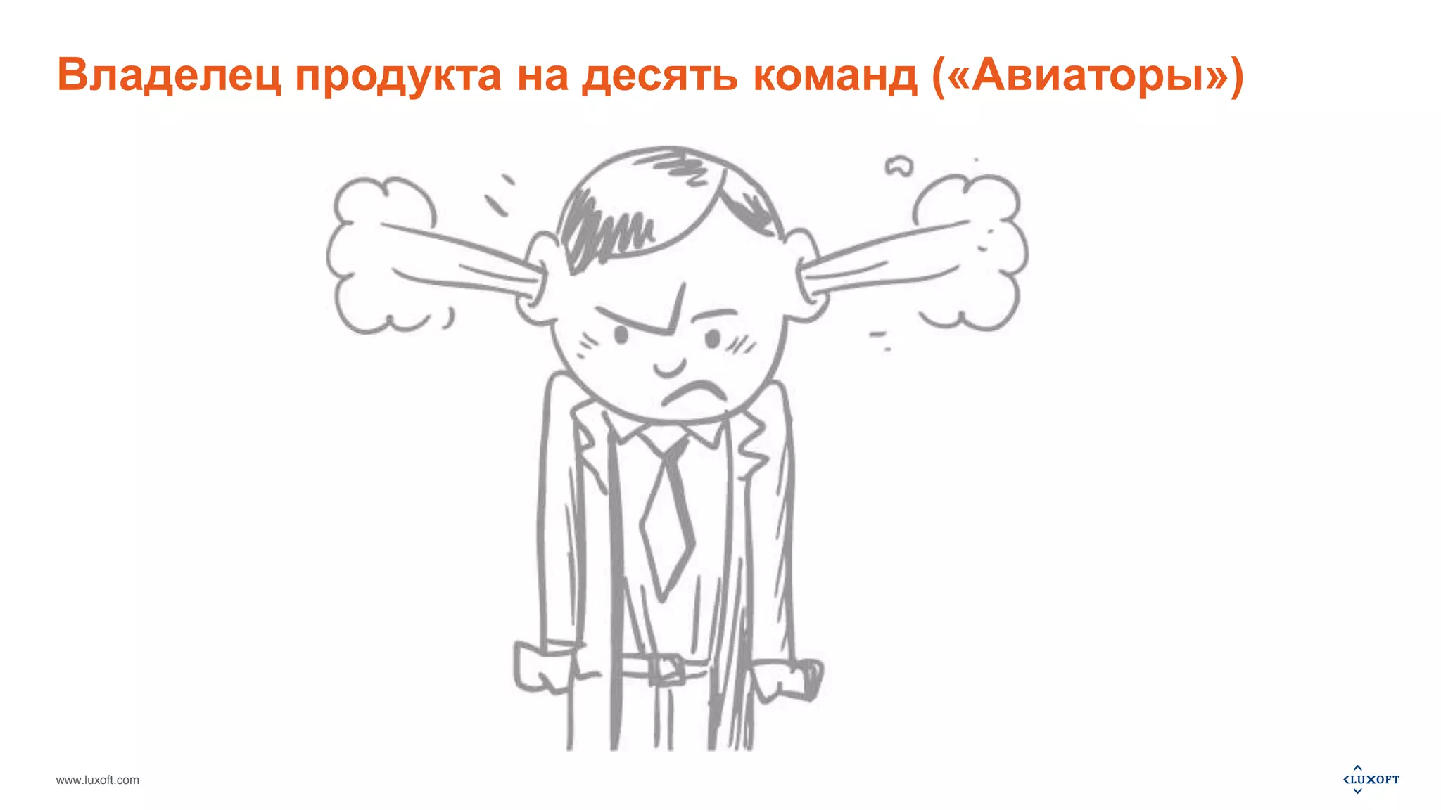 Владелец продукта на десять команд («Авиаторы») 
www.luxoft.com 
 