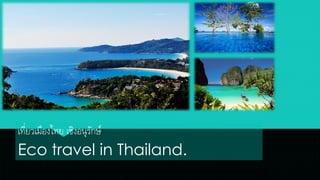 เที่ยวเมืองไทย เชิงอนุรักษ์
Eco travel in Thailand.
 