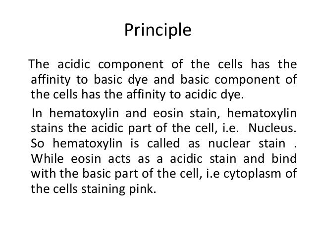 H E STAIN he