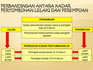 PERBANDINGAN ANTARA KADAR
PERTUMBUHAN LELAKI DAN PEREMPUAN
PERSAMAAN
Kadar pertumbuhan hampir sama di peringkat
bayi (0-2 tahun)
Pertumbuhan fizikal berhenti pada peringkat
dewasa
PERBEZAAN KADAR PERTUMBUHAN DI:
Peringkat kanak-kanak (2-12 tahun)
Peringkat remaja (12-14 tahun)
LELAKI PEREMPUAN
Lebih
cepat
Lebih
lambat
Lebih
lambat
Lebih
cepat
 