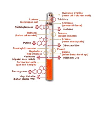 Kandungan rokok | DOCX
