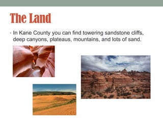 The Land
• In Kane County you can find towering sandstone cliffs,
 deep canyons, plateaus, mountains, and lots of sand.
 