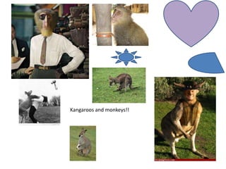 Kangaroos and monkeys!!
 