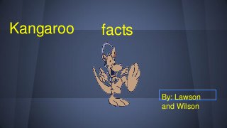 Kangaroo facts
By: Lawson
and Wilson
 