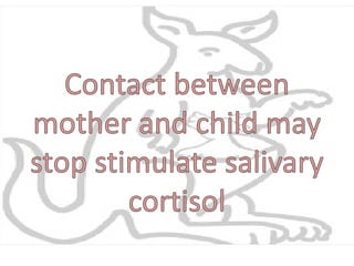 Kangaroo Mother Care