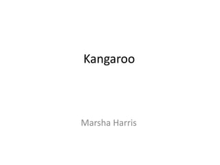 Kangaroo

Marsha Harris

 