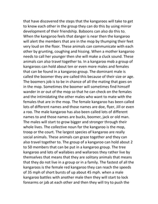 that have discovered the steps that the kangaroos will take to get
to know each other in the group they can do this by using mirror
development of their friendship. Baboons can also do this to.
When the kangaroo feels that danger is near then the kangaroo
will alert the members that are in the mop by thumping their feet
very loud on the floor. These animals can communicate with each
other by grunting, coughing and hissing. When a mother kangaroo
needs to call her younger then she will make a cluck sound. These
animals can also travel together to. In a kangaroo mob a group of
kangaroos can hold about ten or even more males and females
that can be found in a kangaroo group. The dominant male is
called the boomer they are called this because of their size or age.
The boomers job is to be in chance of all the mating that goes on
in the mop. Sometimes the boomer will sometimes find himself
wander in or out of the mop so that he can check on the females
and the intimidating the other males who want to mate with the
females that are in the mop. The female kangaroo has been called
lots of different names and those names are doe, flyer, Jill or even
a roo. The male kangaroo has also been called lots of different
names to and those names are bucks, boomer, jack or old man.
The males will start to grow bigger and stronger through their
whole lives. The collective noun for the kangaroo is the mop,
troop or the court. The largest species of kangaroo are really
social animals. These animals can graze together and they can
also travel together to. The group of a kangaroo can hold about 2
to 50 members that can be put in a kangaroo group. The tree
kangaroo and lots of wallabies and wallaroos they rather live by
themselves that means that they are solitary animals that means
that they do not live in a group or in a family. The fastest of all the
kangaroos is the female red kangaroo they can reach the speeds
of 35 mph of short bursts of up about 45 mph. when a male
kangaroo battles with another male then they will start to lock
forearms or jab at each other and then they will try to push the
 