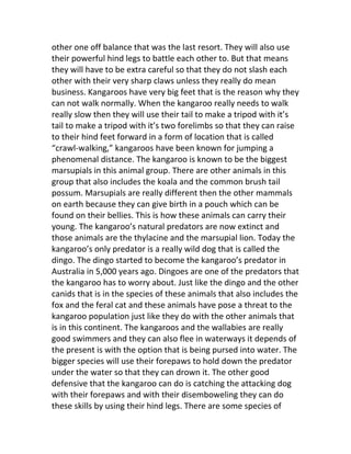other one off balance that was the last resort. They will also use
their powerful hind legs to battle each other to. But that means
they will have to be extra careful so that they do not slash each
other with their very sharp claws unless they really do mean
business. Kangaroos have very big feet that is the reason why they
can not walk normally. When the kangaroo really needs to walk
really slow then they will use their tail to make a tripod with it’s
tail to make a tripod with it’s two forelimbs so that they can raise
to their hind feet forward in a form of location that is called
“crawl-walking,” kangaroos have been known for jumping a
phenomenal distance. The kangaroo is known to be the biggest
marsupials in this animal group. There are other animals in this
group that also includes the koala and the common brush tail
possum. Marsupials are really different then the other mammals
on earth because they can give birth in a pouch which can be
found on their bellies. This is how these animals can carry their
young. The kangaroo’s natural predators are now extinct and
those animals are the thylacine and the marsupial lion. Today the
kangaroo’s only predator is a really wild dog that is called the
dingo. The dingo started to become the kangaroo’s predator in
Australia in 5,000 years ago. Dingoes are one of the predators that
the kangaroo has to worry about. Just like the dingo and the other
canids that is in the species of these animals that also includes the
fox and the feral cat and these animals have pose a threat to the
kangaroo population just like they do with the other animals that
is in this continent. The kangaroos and the wallabies are really
good swimmers and they can also flee in waterways it depends of
the present is with the option that is being pursed into water. The
bigger species will use their forepaws to hold down the predator
under the water so that they can drown it. The other good
defensive that the kangaroo can do is catching the attacking dog
with their forepaws and with their disemboweling they can do
these skills by using their hind legs. There are some species of
 