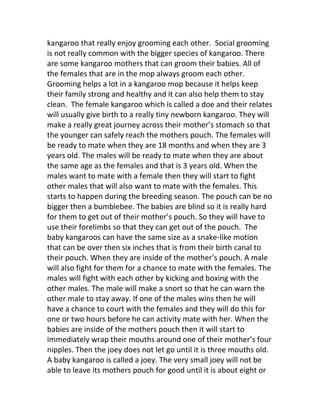 kangaroo that really enjoy grooming each other. Social grooming
is not really common with the bigger species of kangaroo. There
are some kangaroo mothers that can groom their babies. All of
the females that are in the mop always groom each other.
Grooming helps a lot in a kangaroo mop because it helps keep
their family strong and healthy and it can also help them to stay
clean. The female kangaroo which is called a doe and their relates
will usually give birth to a really tiny newborn kangaroo. They will
make a really great journey across their mother’s stomach so that
the younger can safely reach the mothers pouch. The females will
be ready to mate when they are 18 months and when they are 3
years old. The males will be ready to mate when they are about
the same age as the females and that is 3 years old. When the
males want to mate with a female then they will start to fight
other males that will also want to mate with the females. This
starts to happen during the breeding season. The pouch can be no
bigger then a bumblebee. The babies are blind so it is really hard
for them to get out of their mother’s pouch. So they will have to
use their forelimbs so that they can get out of the pouch. The
baby kangaroos can have the same size as a snake-like motion
that can be over then six inches that is from their birth canal to
their pouch. When they are inside of the mother’s pouch. A male
will also fight for them for a chance to mate with the females. The
males will fight with each other by kicking and boxing with the
other males. The male will make a snort so that he can warn the
other male to stay away. If one of the males wins then he will
have a chance to court with the females and they will do this for
one or two hours before he can activity mate with her. When the
babies are inside of the mothers pouch then it will start to
immediately wrap their mouths around one of their mother’s four
nipples. Then the joey does not let go until it is three mouths old.
A baby kangaroo is called a joey. The very small joey will not be
able to leave its mothers pouch for good until it is about eight or
 