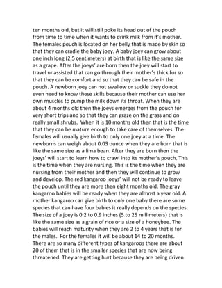 ten months old, but it will still poke its head out of the pouch
from time to time when it wants to drink milk from it’s mother.
The females pouch is located on her belly that is made by skin so
that they can cradle the baby joey. A baby joey can grow about
one inch long (2.5 centimeters) at birth that is like the same size
as a grape. After the joeys’ are born then the joey will start to
travel unassisted that can go through their mother’s thick fur so
that they can be comfort and so that they can be safe in the
pouch. A newborn joey can not swallow or suckle they do not
even need to know these skills because their mother can use her
own muscles to pump the milk down its throat. When they are
about 4 months old then the joeys emerges from the pouch for
very short trips and so that they can graze on the grass and on
really small shrubs. When it is 10 months old then that is the time
that they can be mature enough to take care of themselves. The
females will usually give birth to only one joey at a time. The
newborns can weigh about 0.03 ounce when they are born that is
like the same size as a lima bean. After they are born then the
joeys’ will start to learn how to crawl into its mother’s pouch. This
is the time when they are nursing. This is the time when they are
nursing from their mother and then they will continue to grow
and develop. The red kangaroo joeys’ will not be ready to leave
the pouch until they are more then eight months old. The gray
kangaroo babies will be ready when they are almost a year old. A
mother kangaroo can give birth to only one baby there are some
species that can have four babies it really depends on the species.
The size of a joey is 0.2 to 0.9 inches (5 to 25 millimeters) that is
like the same size as a grain of rice or a size of a honeybee. The
babies will reach maturity when they are 2 to 4 years that is for
the males. For the females it will be about 14 to 20 months.
There are so many different types of kangaroos there are about
20 of them that is in the smaller species that are now being
threatened. They are getting hurt because they are being driven
 
