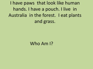 I have paws that look like human
hands. I have a pouch. I live in
Australia in the forest. I eat plants
and grass.

Who Am I?

 