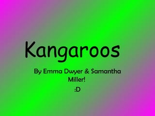 Kangaroos By Emma Dwyer & Samantha Miller!  :D 