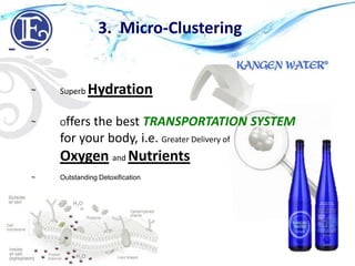 ~ Offers the best TRANSPORTATION SYSTEM
for your body, i.e. Greater Delivery of
Oxygen and Nutrients
~ Outstanding Detoxification
~ Superb Hydration
3. Micro-Clustering
H2O
H2O
 