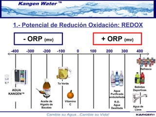 1.- Potencial de Redución Oxidación: REDOX 
- ORP (mv) + ORP (mv) 
-400 -300 -200 -100 0 100 200 300 400 
Agua 
Purificada 
embotellada 
R.O. 
Agua 
Destilada 
Vitamina 
C 
AGUA 
KANGEN™ 
Te Verde 
Refresco 
Agua de 
Llave 
Aceite de 
Hígado de 
Bacalao 
Bebidas 
Deportivas 
 