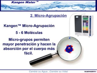 2. Micro-Agrupación 
Kangen™ Micro-Agrupación 
5 - 6 Moléculas 
Micro-grupos permiten 
mayor penetración y hacen la 
absorción por el cuerpo más 
fácil. 
 