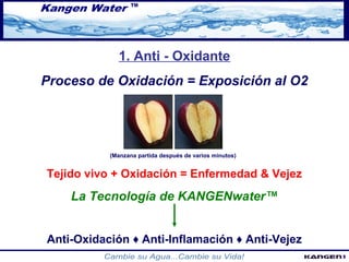 1. Anti - Oxidante 
Proceso de Oxidación = Exposición al O2 
(Manzana partida después de varios minutos) 
Tejido vivo + Oxidación = Enfermedad & Vejez 
La Tecnología de KANGENwater™ 
Anti-Oxidación ♦ Anti-Inflamación ♦ Anti-Vejez 
 