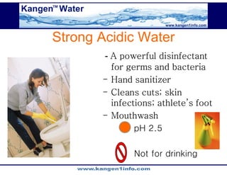 Kangen Synergy Worldwide Presentation (2)