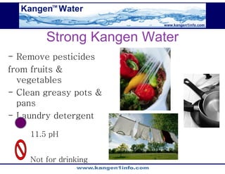 Kangen Synergy Worldwide Presentation (2)