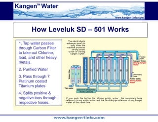 Kangen Synergy Worldwide Presentation (2)