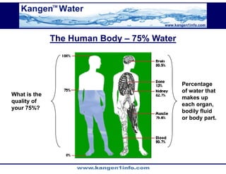 Kangen Synergy Worldwide Presentation (2)