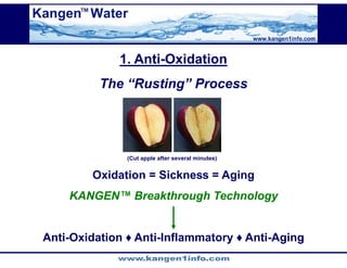 Kangen Synergy Worldwide Presentation (2)