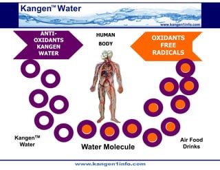 Kangen Synergy Worldwide Presentation (2)