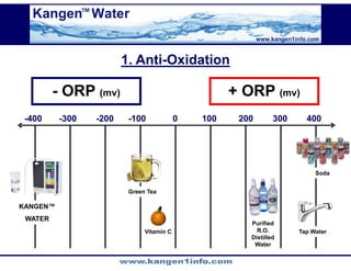 Kangen Synergy Worldwide Presentation (2)
