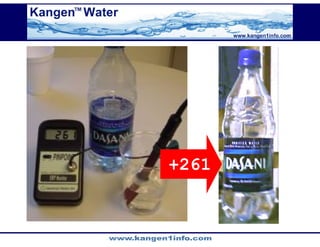 Kangen Synergy Worldwide Presentation (2)