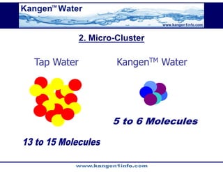 Kangen Synergy Worldwide Presentation (2)