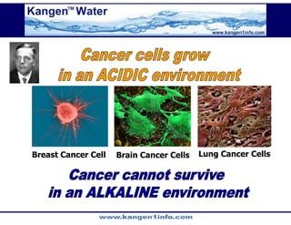 Kangen Synergy Worldwide Presentation (2)