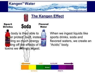 Kangen Synergy Worldwide Presentation (2)