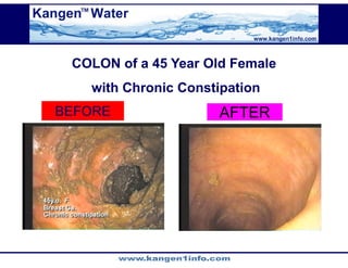 Kangen Synergy Worldwide Presentation (2)