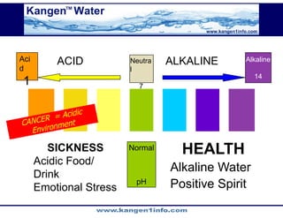 Kangen Synergy Worldwide Presentation (2)