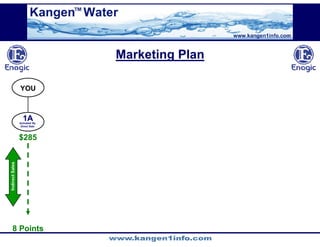 Kangen Synergy Worldwide Presentation (2)