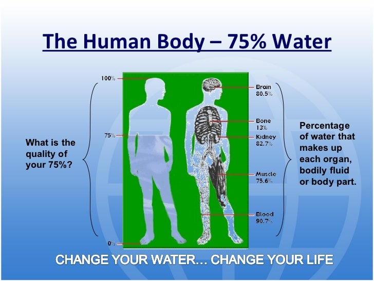 Percentage Of Water In Human Body Chart