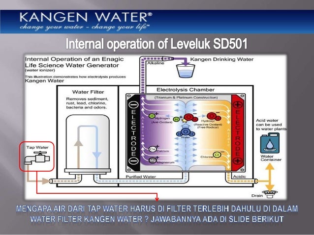Presentasi Kangen Water
