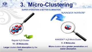 Regular H2O Cluster
15 - 20 Molecules
Larger clusters limit absorption by the
body
3. Micro-Clustering
KANGEN™ H2O Micro-Cluster
5 - 6 Molecules
Micro-clusters allow greater penetration and
easier absorption
SUPER HYDRATION & BETTER ELIMINATION
 