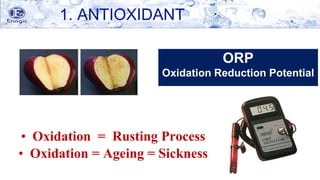• Oxidation = Rusting Process
• Oxidation = Ageing = Sickness
ORP
Oxidation Reduction Potential
1. ANTIOXIDANT
 