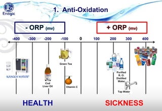 Vitamin C
-400 -300 -200 -100 0 100 200 300 400
Green Tea
Tap Water
Soda
Cod
Liver Oil
1. Anti-Oxidation
SICKNESSHEALTH
Purified
R. O.
Distilled
Water
 