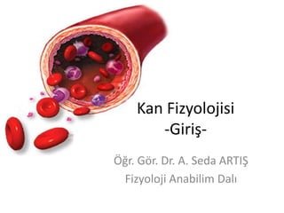 Kan Fizyolojisi
       -Giriş-
Öğr. Gör. Dr. A. Seda ARTIŞ
 Fizyoloji Anabilim Dalı
 